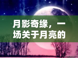 月影奇緣，一場創(chuàng)意無限的月亮冒險之旅