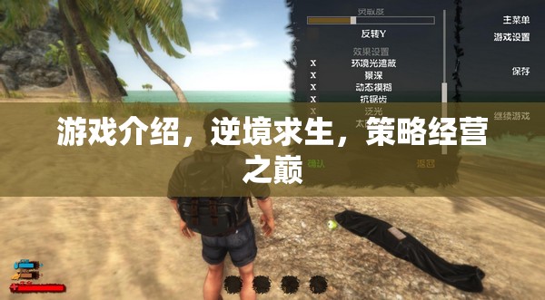 逆境求生，策略經(jīng)營之巔的挑戰(zhàn)與智慧