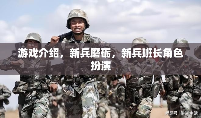 新兵磨礪，新兵班長(zhǎng)角色扮演的成長(zhǎng)之旅