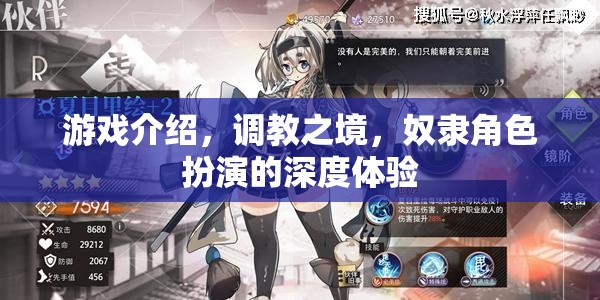 調(diào)教之境，深度體驗奴隸角色扮演的奇幻游戲