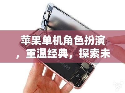 蘋果單機角色扮演，重溫經(jīng)典，探索未知的時光之果