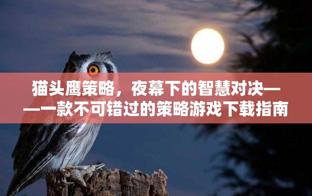 夜幕下的智慧對(duì)決，貓頭鷹策略游戲下載指南
