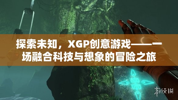 XGP創(chuàng)意游戲，一場(chǎng)科技與想象的融合冒險(xiǎn)之旅