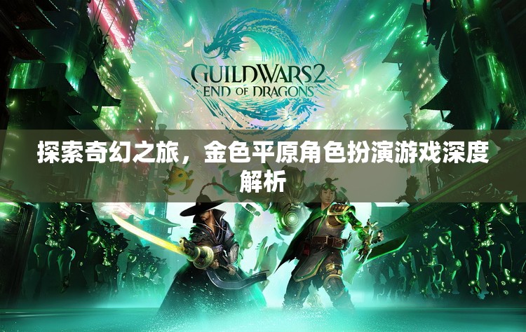 探索金色平原，深度解析奇幻角色扮演游戲