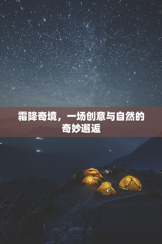 霜降奇境，創(chuàng)意與自然的夢幻交融