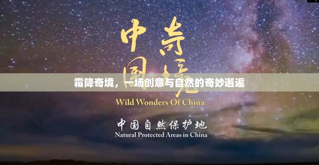 霜降奇境，創(chuàng)意與自然的夢幻交融