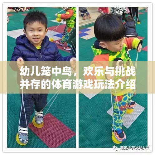 籠中鳥，幼兒體育游戲中的歡樂與挑戰(zhàn)