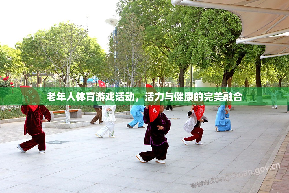 活力與健康的完美融合，老年人體育游戲活動  第1張