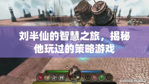 劉半仙的智慧之旅，揭秘他的策略游戲策略