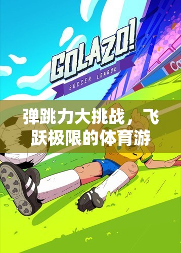 飛躍極限，彈跳力大挑戰(zhàn)的體育游戲體驗(yàn)