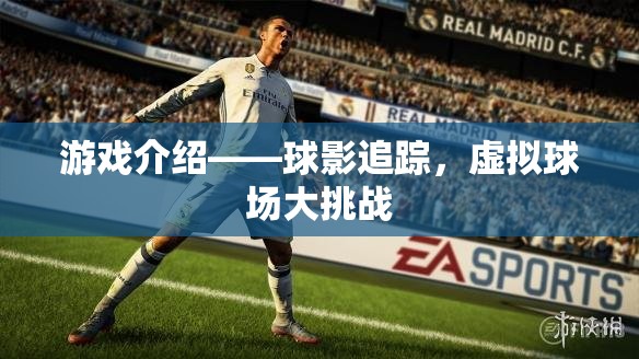 游戲介紹——球影追蹤，虛擬球場大挑戰(zhàn)