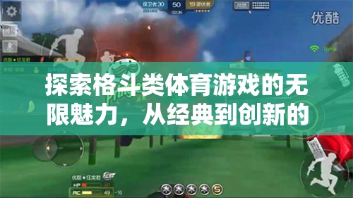 格斗類體育游戲，從經(jīng)典到創(chuàng)新的多元魅力探索