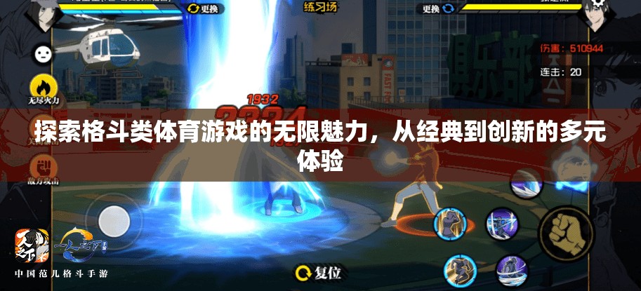 格斗類體育游戲，從經(jīng)典到創(chuàng)新的多元魅力探索