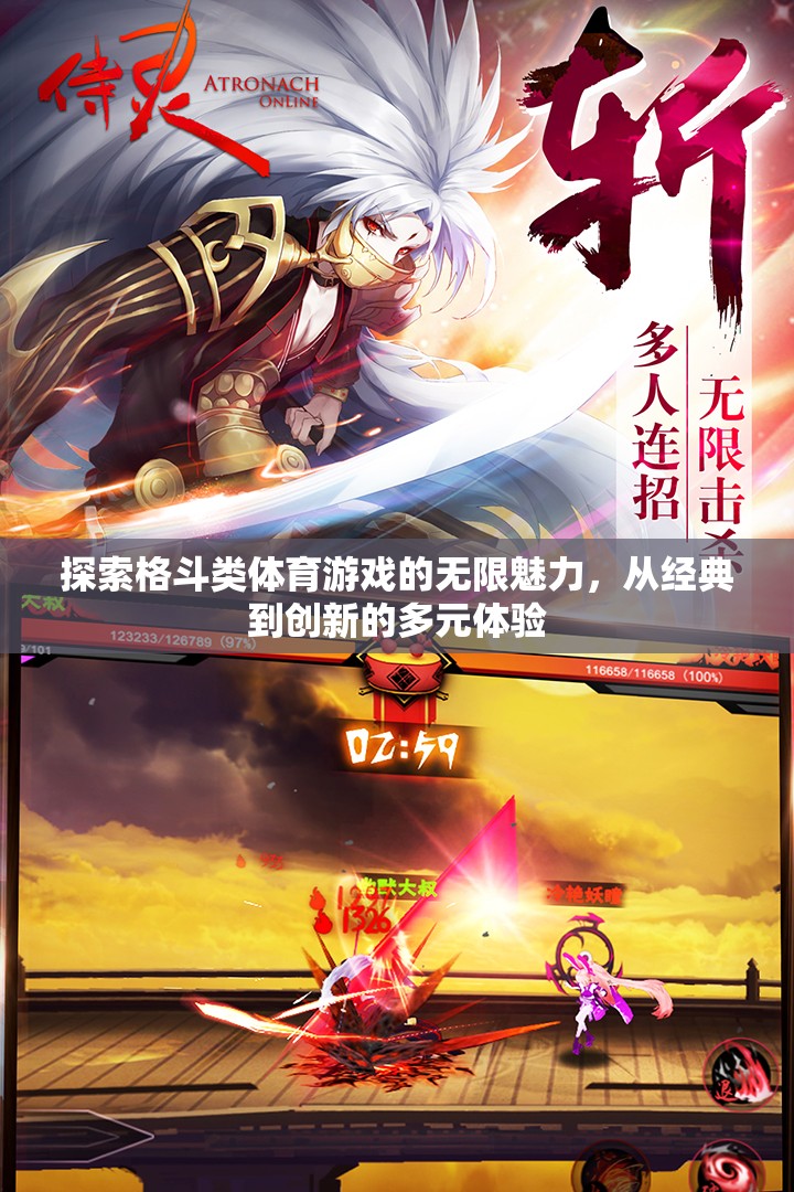格斗類體育游戲，從經(jīng)典到創(chuàng)新的多元魅力探索