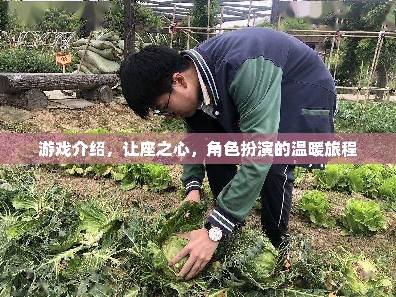 游戲介紹，讓座之心，角色扮演的溫暖旅程