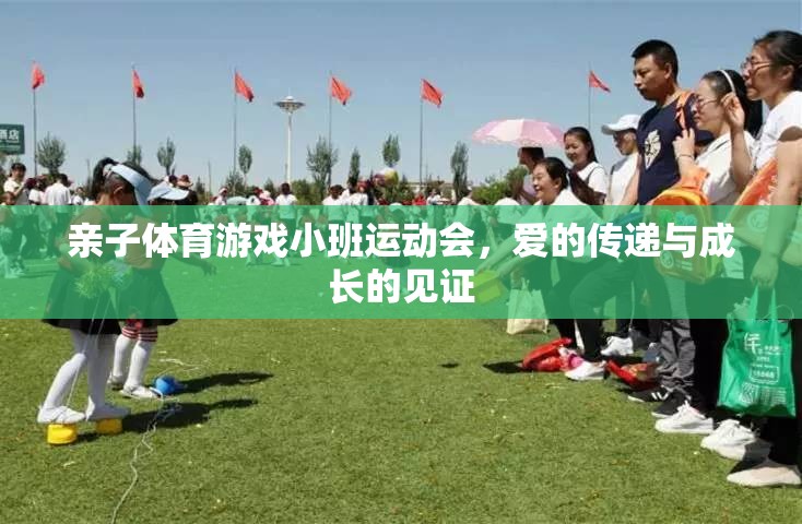 親子體育游戲小班運(yùn)動(dòng)會(huì)，愛(ài)的傳遞與成長(zhǎng)的見(jiàn)證