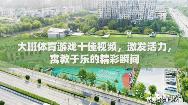大班體育游戲十佳視頻，激發(fā)活力，寓教于樂的精彩瞬間  第1張
