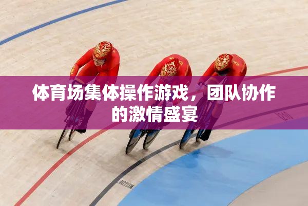 體育場(chǎng)集體操作游戲，團(tuán)隊(duì)協(xié)作的激情盛宴  第2張