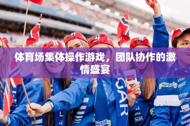 體育場(chǎng)集體操作游戲，團(tuán)隊(duì)協(xié)作的激情盛宴  第3張