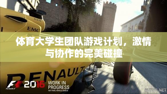 體育大學(xué)生團(tuán)隊(duì)游戲計(jì)劃，激情與協(xié)作的完美碰撞
