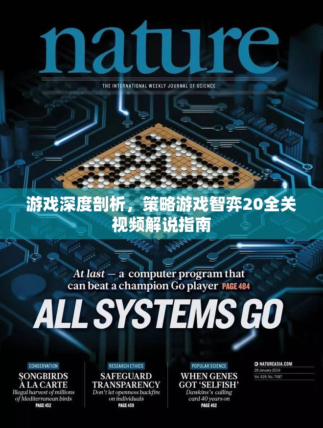 策略游戲智弈20全關(guān)攻略，深度解析與視頻解說指南  第3張