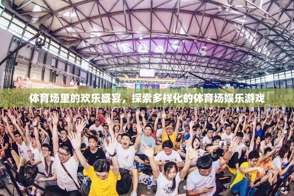 體育場(chǎng)里的歡樂(lè)盛宴，探索多樣化的娛樂(lè)游戲  第1張