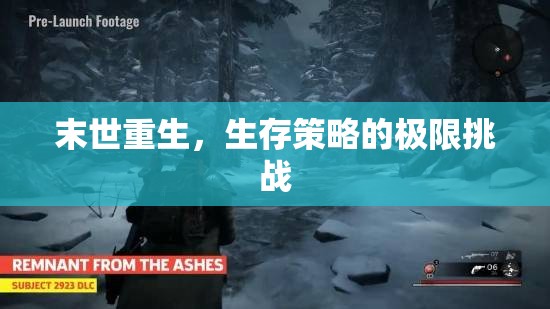 末世重生，生存策略的極限挑戰(zhàn)  第1張