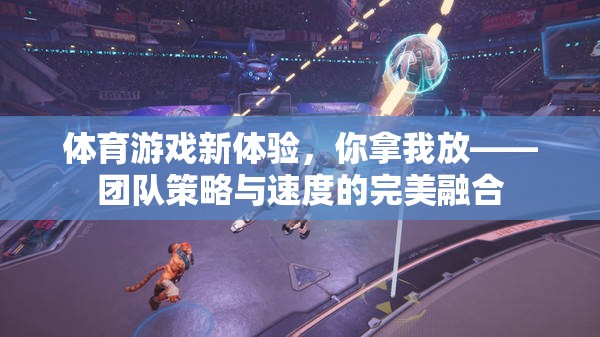 團(tuán)隊(duì)策略與速度的完美融合，全新體育游戲體驗(yàn)
