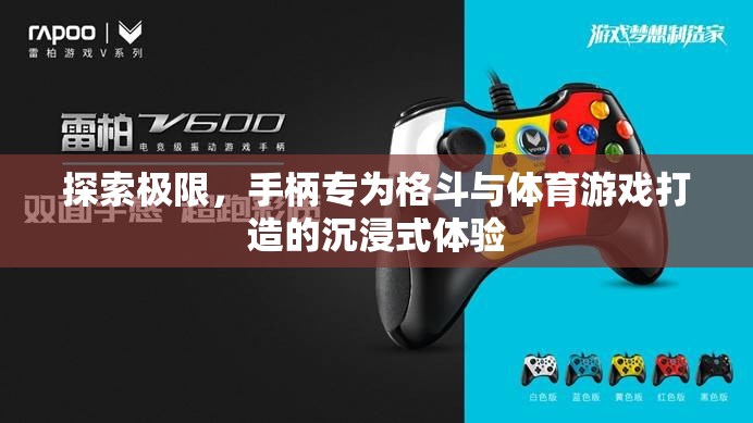 沉浸式格斗與體育游戲，手柄的極限探索