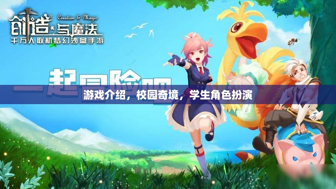 校園奇境，學(xué)生角色扮演的奇幻游戲之旅