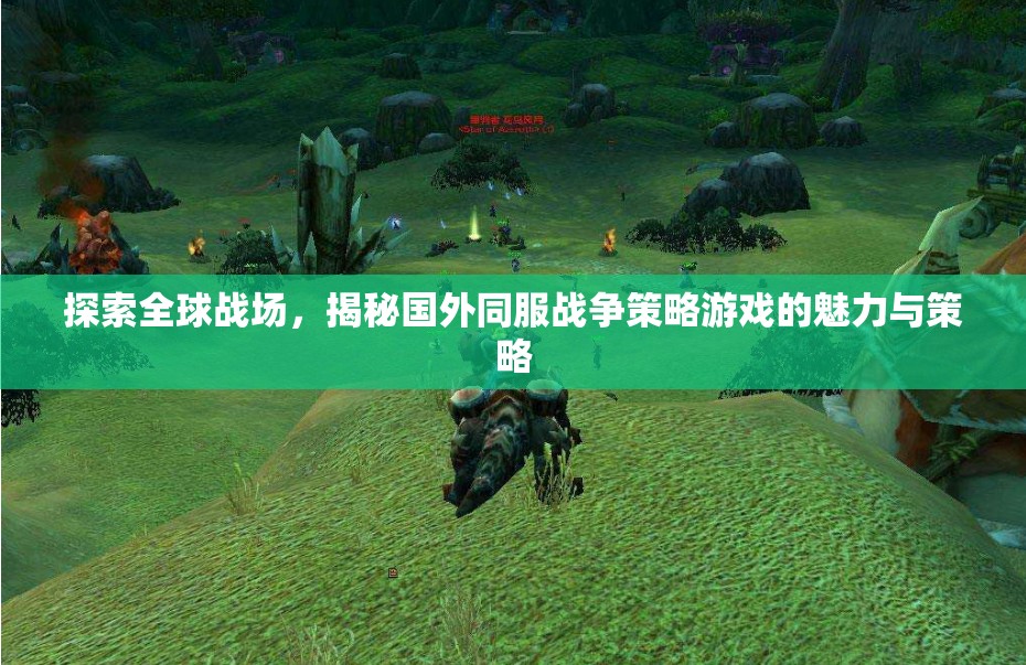 全球戰(zhàn)場(chǎng)，揭秘國(guó)外同服戰(zhàn)爭(zhēng)策略游戲的魅力與策略