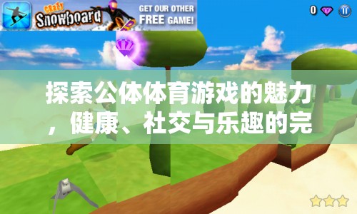 公體體育游戲，健康、社交與樂(lè)趣的完美融合  第2張