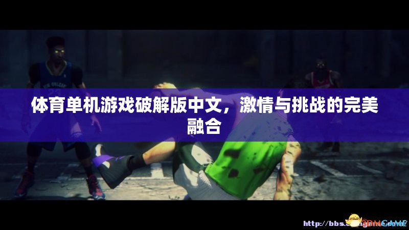 激情與挑戰(zhàn)，體育單機(jī)游戲破解版中文的完美融合