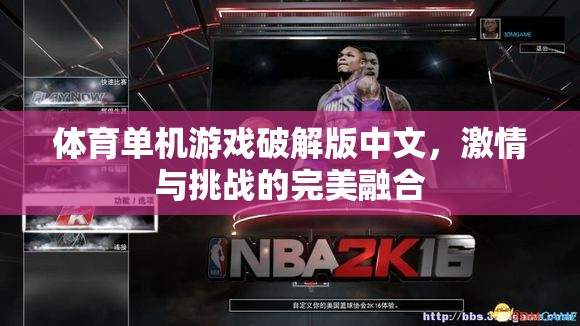激情與挑戰(zhàn)，體育單機(jī)游戲破解版中文的完美融合