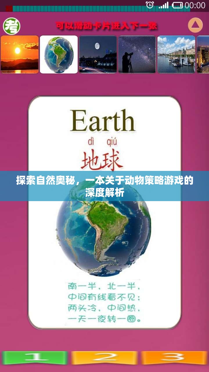 探索自然奧秘，一本深度解析動(dòng)物策略游戲的指南