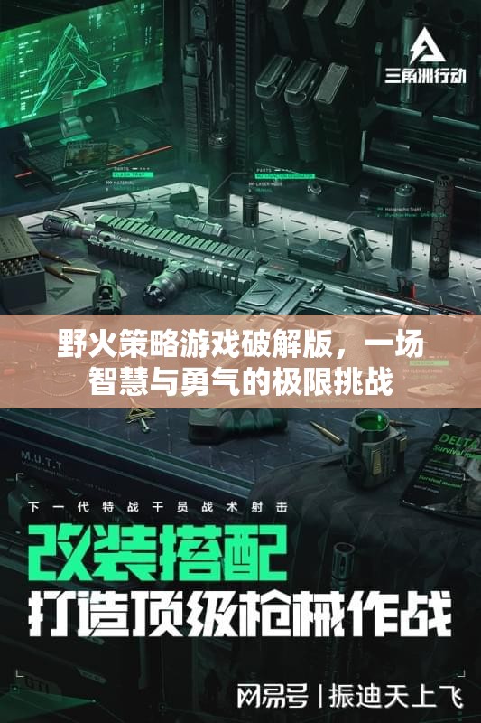 野火策略游戲破解版，智慧與勇氣的極限挑戰(zhàn)