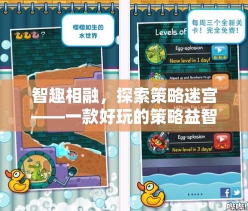 智趣相融，探索策略迷宮——打造趣味橫生的策略益智游戲教案
