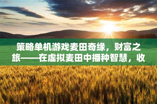 麥田奇緣，智慧播種，財(cái)富收獲的虛擬之旅