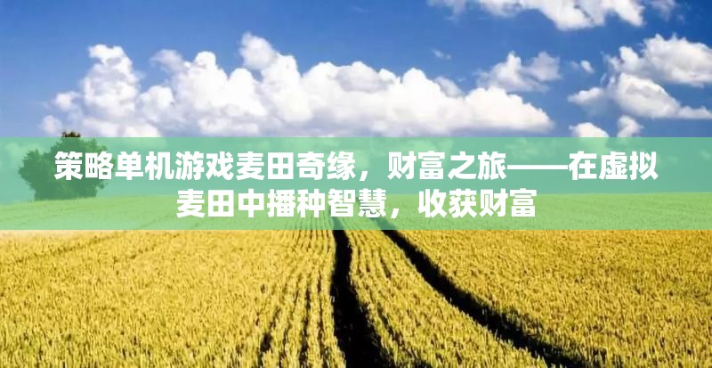 麥田奇緣，智慧播種，財(cái)富收獲的虛擬之旅
