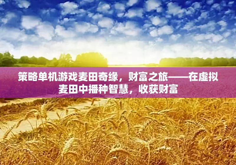 麥田奇緣，智慧播種，財(cái)富收獲的虛擬之旅
