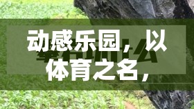 動感樂園，以體育之名，樂在游中