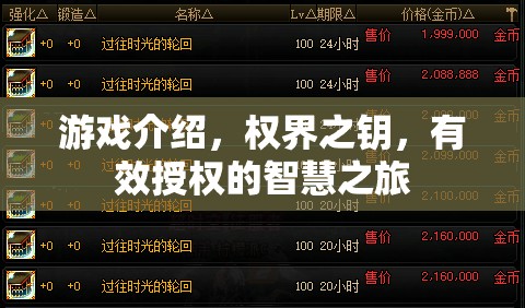 權(quán)界之鑰，解鎖有效授權(quán)的智慧之旅