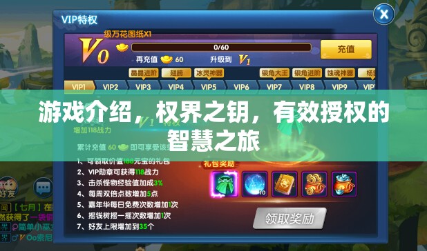 權(quán)界之鑰，解鎖有效授權(quán)的智慧之旅
