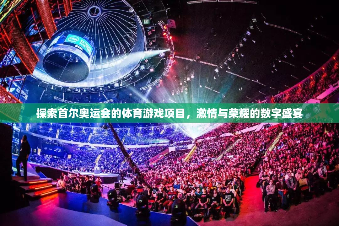 首爾奧運(yùn)會(huì)，體育游戲項(xiàng)目的激情與榮耀數(shù)字盛宴  第3張
