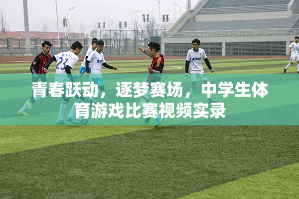 青春躍動，逐夢賽場——中學(xué)生體育游戲比賽精彩實錄
