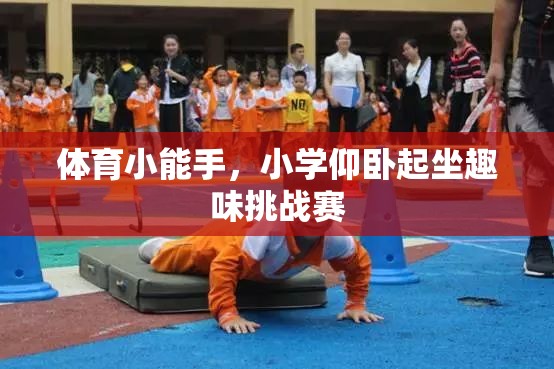 小學(xué)仰臥起坐趣味挑戰(zhàn)賽，展現(xiàn)體育小能手的魅力  第3張