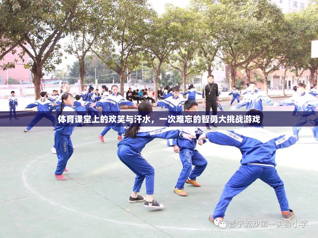 智勇大挑戰(zhàn)，體育課堂上的歡笑與汗水