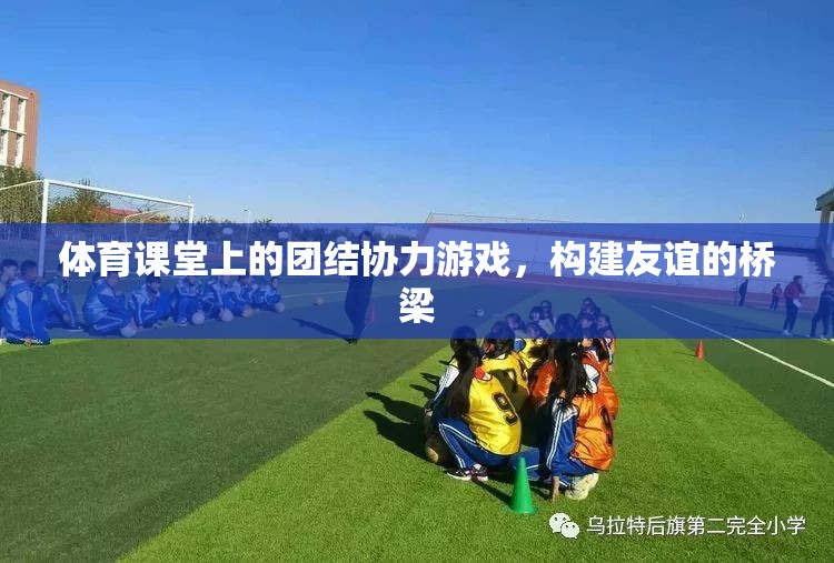 團結(jié)協(xié)力游戲，體育課堂上的友誼橋梁  第2張