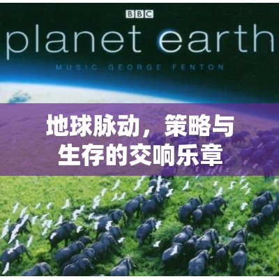 地球脈動(dòng)，策略與生存的交響樂(lè)章