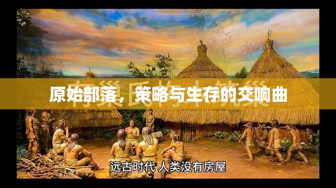原始部落，策略與生存的交響曲